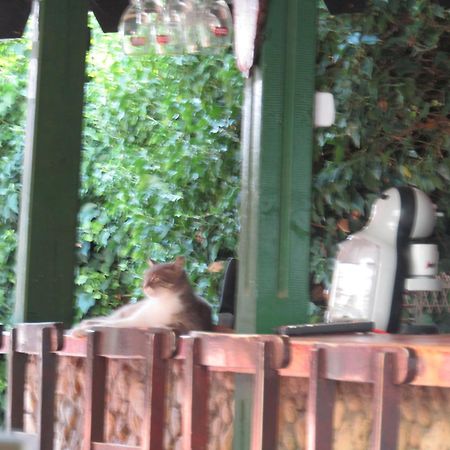Hostel Papagal Varna Ngoại thất bức ảnh